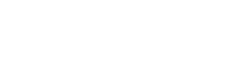 ウィッグ ウィッグ